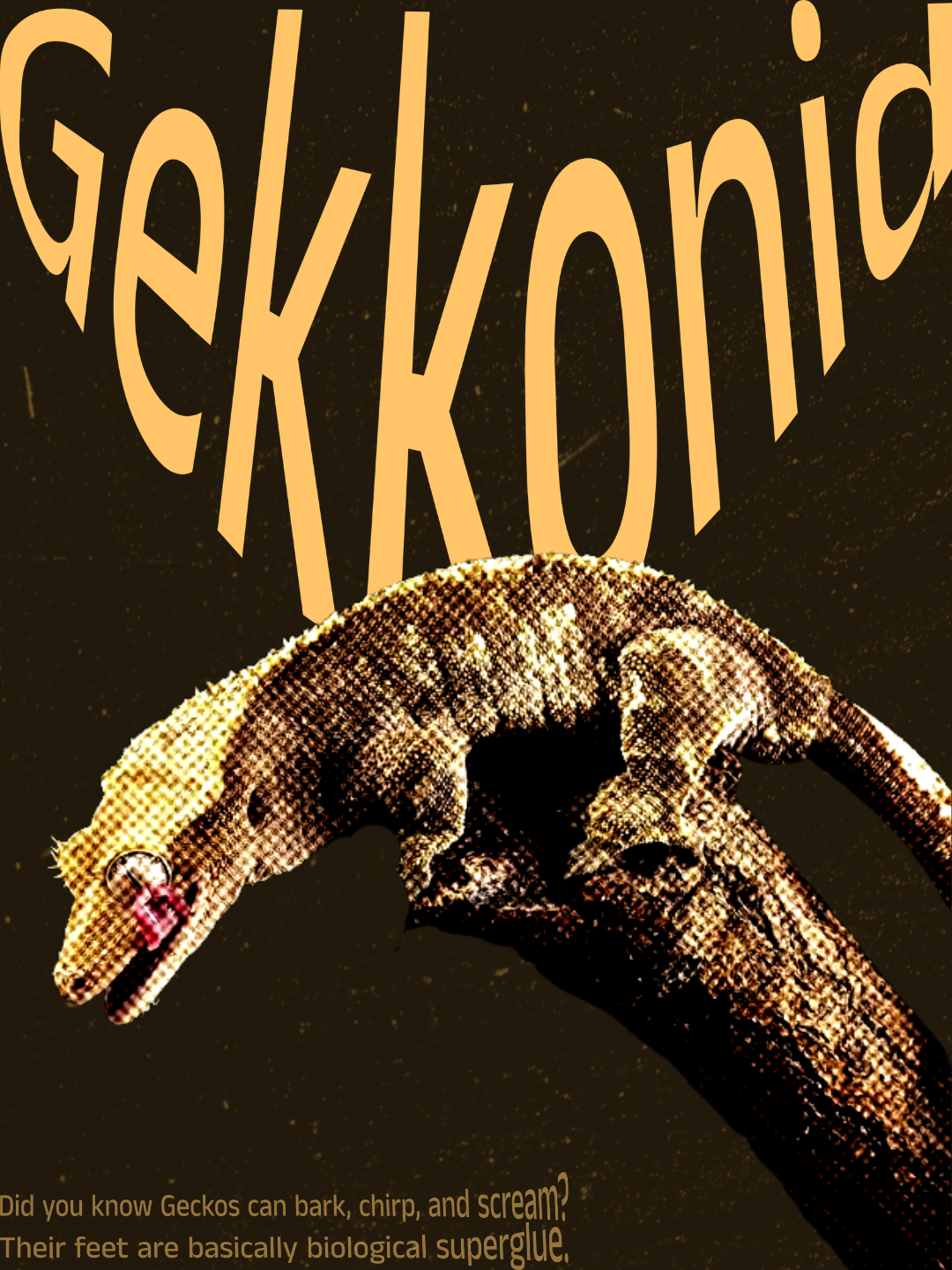 Geckos, a daily flyer design by Holly