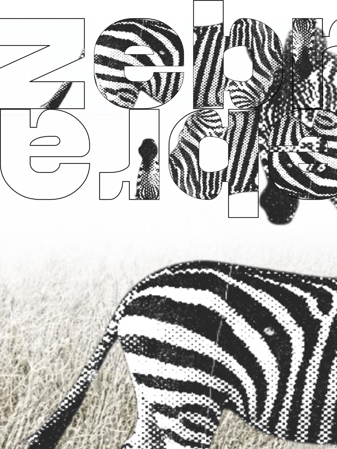Zebra, a daily flyer design by Holly