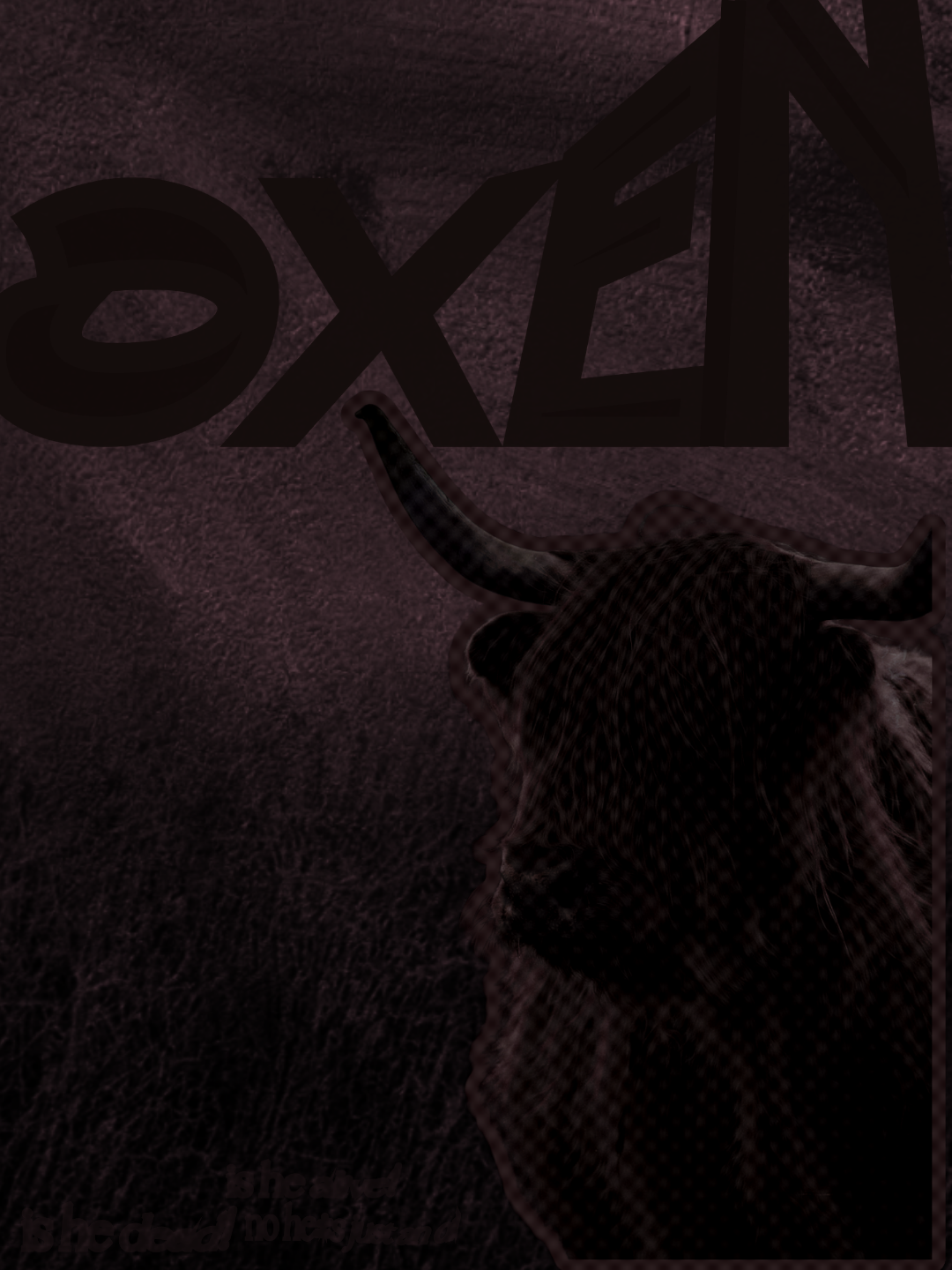 Oxen, a daily flyer design by Holly